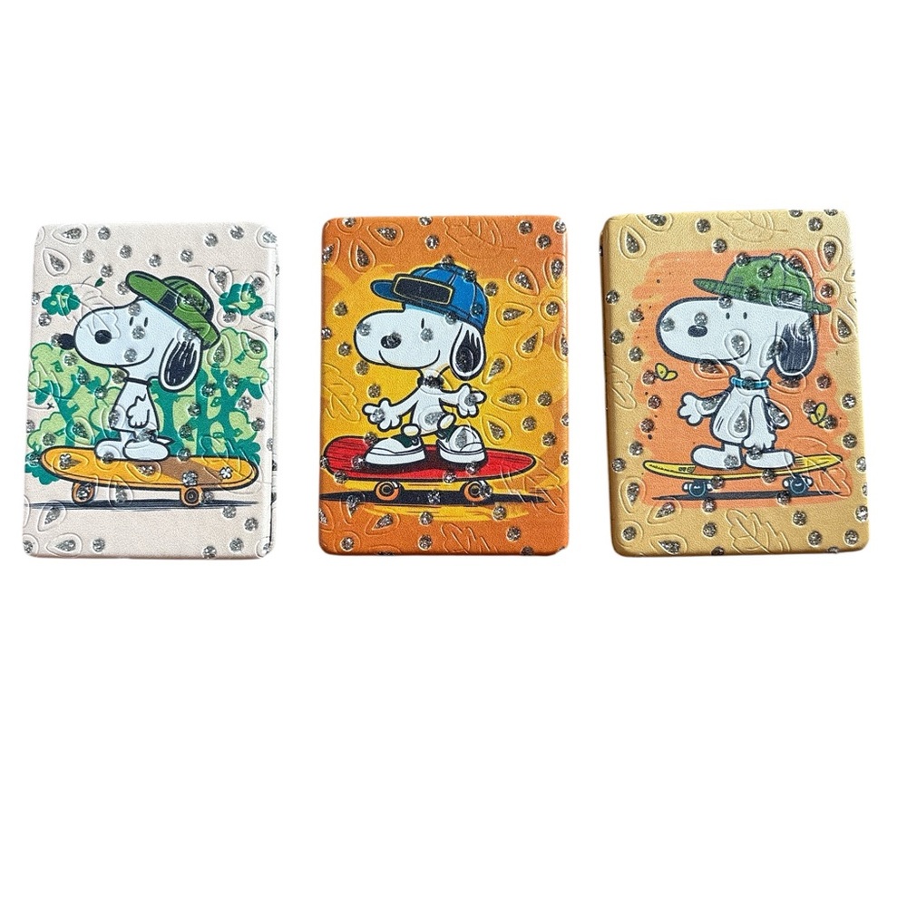 Snoopy Skateboard Canvas Art Set
